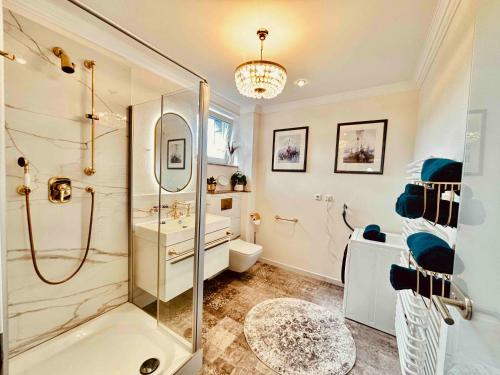 a bathroom with a shower and a toilet and a sink at Die Residenz in Neidenbach