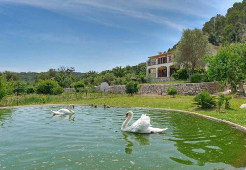 Villa Plomera