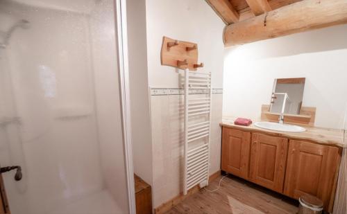 a bathroom with a shower and a sink at Chalet Les Liouès in Sollières-Sardières