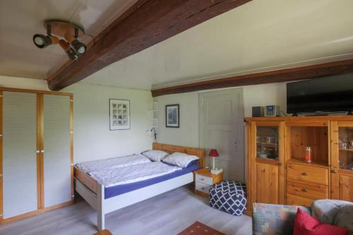 a bedroom with a bed and a tv in it at Ferienwohnungen Appelhof in Pellworm