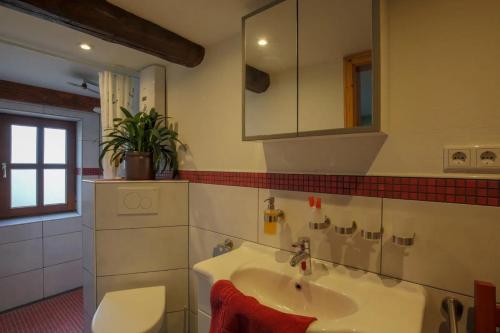 a bathroom with a sink and a mirror and a toilet at Ferienwohnungen Appelhof in Pellworm