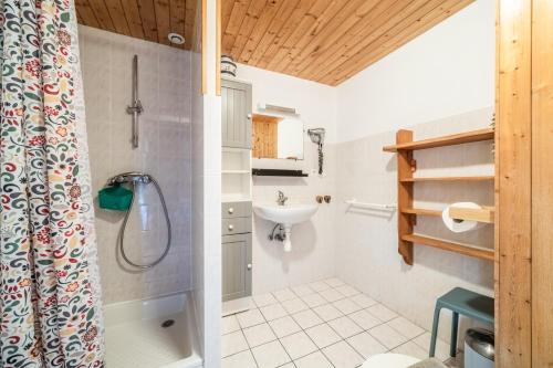 a bathroom with a shower and a sink at Gand chalet montagne 30 personnes in Bernex