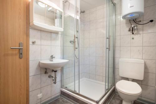 a bathroom with a shower and a toilet and a sink at Bungalow Arkona Bgl 1 in Dranske