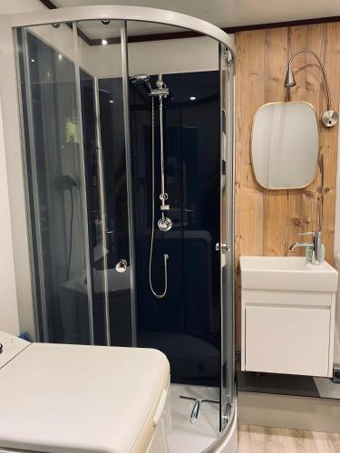 a bathroom with a shower and a sink at Ferienhaus am Waldrand in Billerbeck