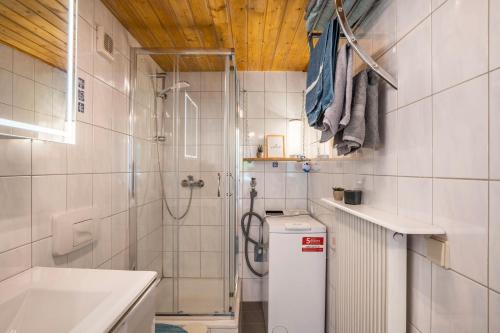 a bathroom with a shower and a toilet and a sink at Ferienwohnung Waldblick in Freudenstadt