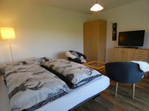 a bedroom with a bed and a chair and a television at Fewo Siglinde Schneider in Freiamt