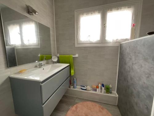 a bathroom with a sink and a mirror at Maison de vacances Pradines in Pradines