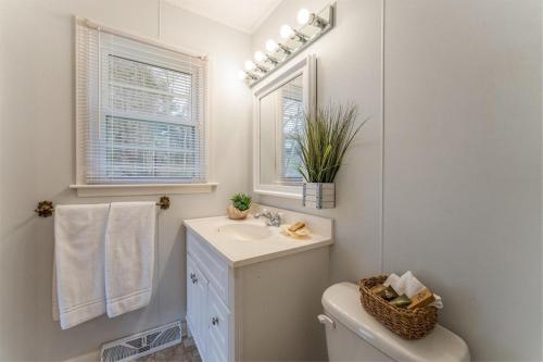 a bathroom with a sink and a toilet and a mirror at Bike Path Getaway in Town · On bike path, NEW KITCHEN,walk to St in Brevard