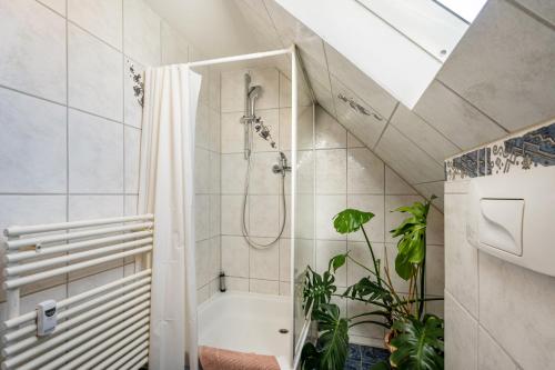 a bathroom with a shower and a toilet and plants at Yvette's Ferienwohnung in Lugau