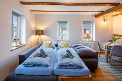 a large blue couch in a living room with windows at Ferienwohnung Haseltal in Rotenburg an der Fulda