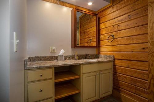 a bathroom with a sink and a mirror at Blissful Bears Mountain · Blissful Bear Cabin, Long Range View 2 in Brevard