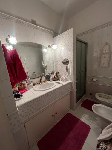 a bathroom with a sink and a mirror and a toilet at Casa Fiore in Borgo Capanne