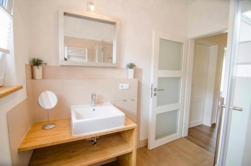 a bathroom with a sink and a mirror at Bianca's Kaiserstuhl in Ihringen