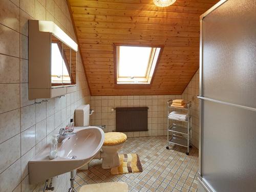 a bathroom with a sink and a toilet at Haus Am Kaltenbach in Enzklösterle