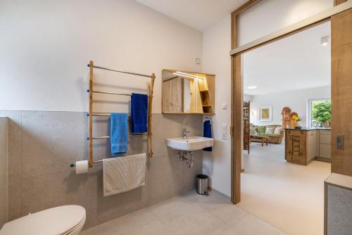 a bathroom with a toilet and a sink at Alb-Sonne Ferienwohnung in Sonnenbühl