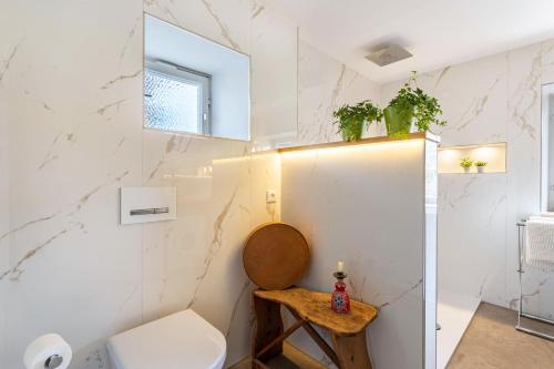 a bathroom with a toilet and a sink at Haus Alpenveilchen - Appartement 2 in Schönau am Königssee