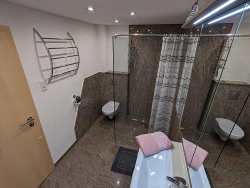 a bathroom with a shower and a sink and a toilet at Ferienwohung Stelldichein in Altenbrak