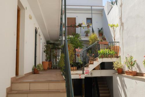 Apartamento Céntrico con Parking