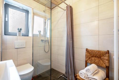 a bathroom with a shower and a toilet at Munich Hideaway in Karlsfeld