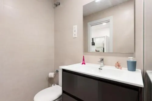 Apartamentos Sealmar Moliere photo 13