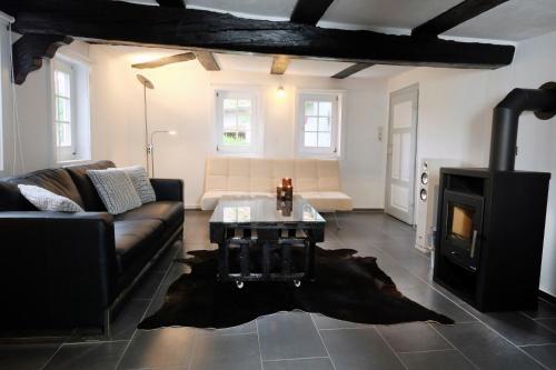 a living room with a couch and a fireplace at Haus Auenland in Groß Felda