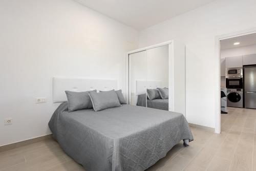 Apartamentos Sealmar Moliere photo 34
