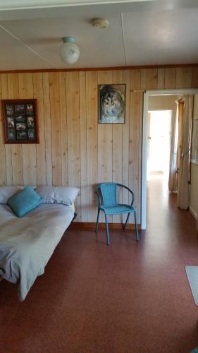 1 Schlafzimmer mit 2 Betten und einem blauen Stuhl in der Unterkunft Bushland Retreat in Cape Bridgewater