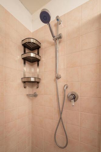 a shower with a shower head in a bathroom at Il Melo in Trasquera