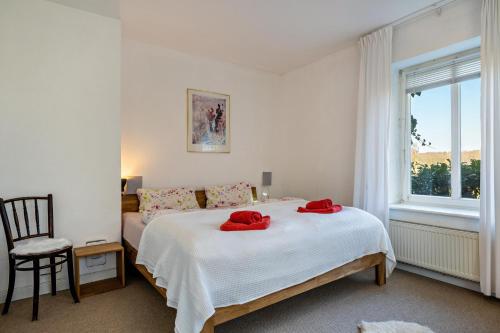 a bedroom with a bed with red pillows on it at Voßberg großes Ferienhaus in Grömitz