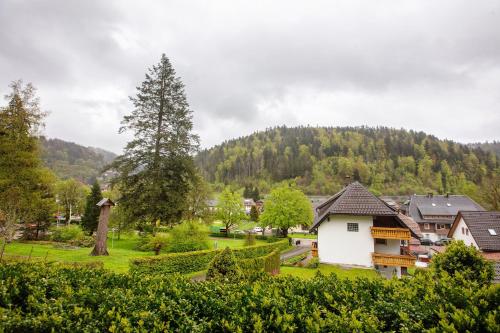 a small village with a mountain in the background at Haus Kurparkblick in Todtmoos