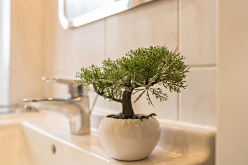 a plant in a white vase sitting on a sink at Fewo-llojan in Wiesmoor