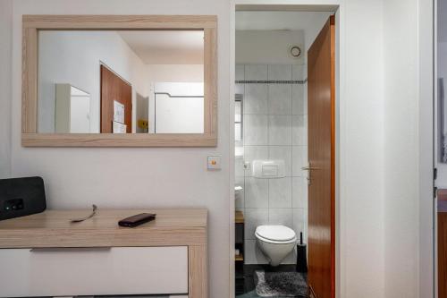 a bathroom with a sink and a mirror and a toilet at 2 Zimmer Appartement mit Pool in Schluchsee
