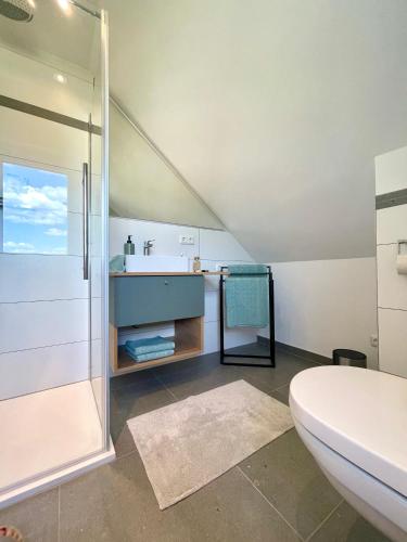 a bathroom with a shower and a toilet and a sink at Ferienwohnung Fernblick in Königsberg in Bayern