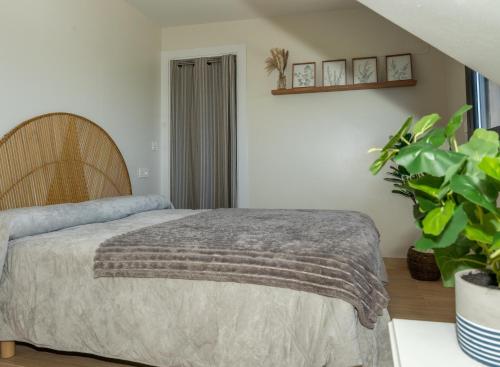 a bedroom with a bed and a potted plant at Casa Muxía Mar y montaña in Muxia