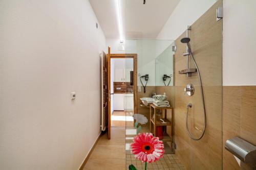 a bathroom with a shower and a pink flower at Langstein Wohnung Rose in Coldrano
