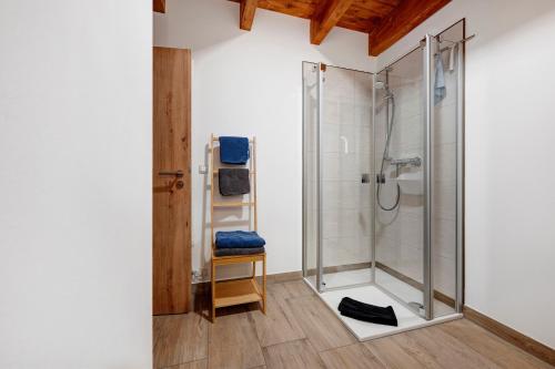 a shower with a glass door in a bathroom at Ferienwohnung Junge 4 in Lohe-Rickelshof