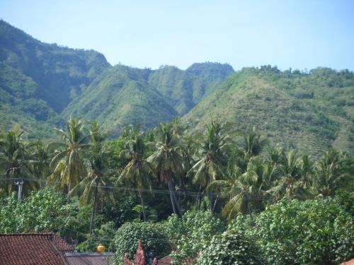 a group of palm trees in front of a mountain at De Adema Guesthouse in Amed