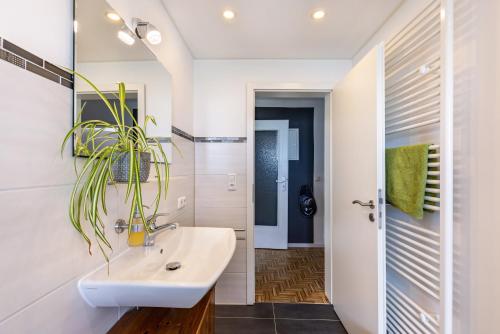 a bathroom with a sink and a potted plant at Baumelt Ferienwohnung in Hechingen