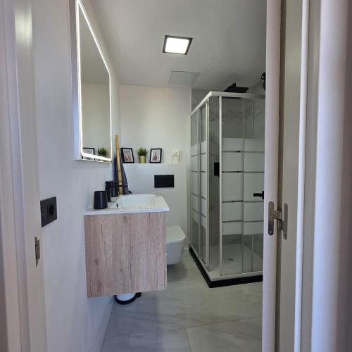 a bathroom with a sink and a shower and a toilet at BlumLuxury Apartment in San Bartolomé