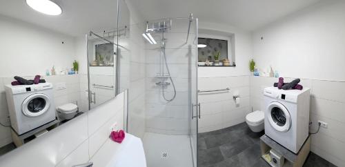 a bathroom with a shower and a washing machine at Konis Ferienwohnung - barrierearm in Rangersdorf