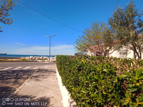 a hedge on the side of a street at La maison à la mer de Mamé Rosette in Port-de-Bouc
