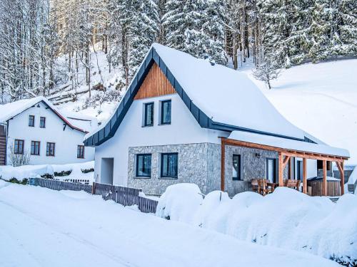 Holiday Home Vilém by Interhome