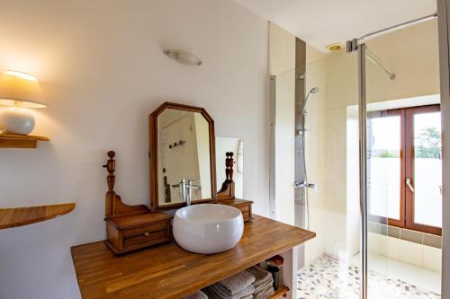 a bathroom with a sink and a mirror at Gite des Bois du Charme in Chalais