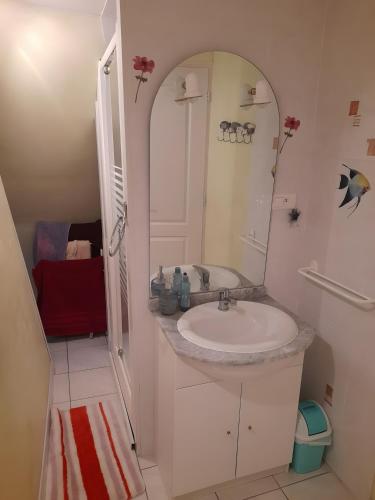 a bathroom with a sink and a mirror at La Maisonnette in Goulles