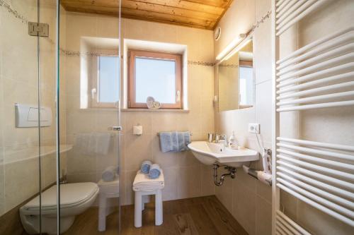 a bathroom with a shower toilet and a sink at Ferienwohnung Mittager Edelweiss in Avelengo