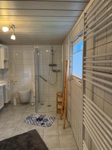 a bathroom with a shower and a toilet at Ferienhaus Harz Idylle 3 in Güntersberge