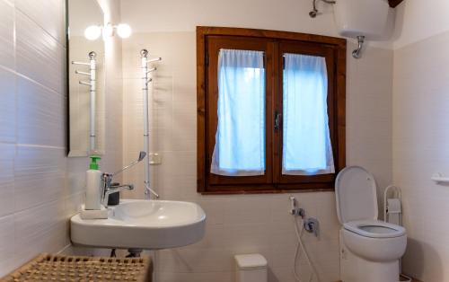 a bathroom with a sink and a toilet and a window at I Profumi Dell'Orto - Campagnatico in Campagnatico