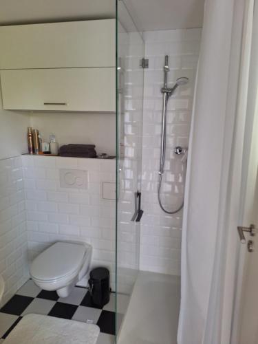 a bathroom with a toilet and a glass shower at Ferienhaus am Wasser, Bootshaus in Güstrow