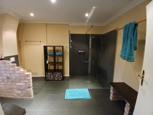 a bathroom with a shower and a blue mat on the floor at Sonnige Ferienwohnung Am Sternberg in Extertal