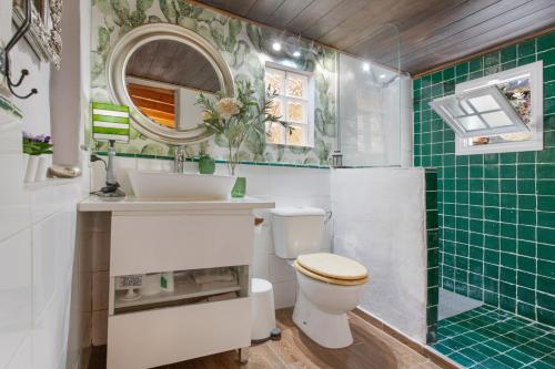 a bathroom with a toilet and a sink and a mirror at Finca la Florida in Icod de los Vinos